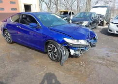 1HGCT1B33GA012117: 44342946