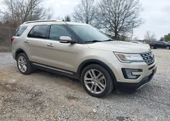 1FM5K7F82HGC44852: 44343103