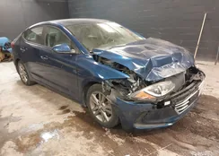 5NPD84LFXHH135664: 44343463