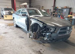 2C3CDXFG5DH593519: 44343498