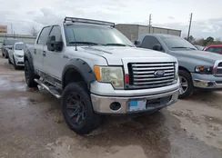 1FTEW1CMXBFB42395: 44342689