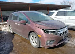 5FNRL6H50KB043050: 44342865