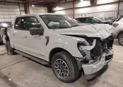 1FTFW1ED6PFD20991: 44343950