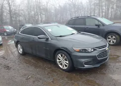 1G1ZE5ST6GF213080: 44344428