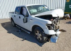 1FTFW1CF0EKD71055: 44343871