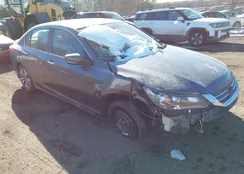 1HGCR2F36DA143830: 44345334