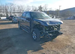 1FTEW3KP4RKE12648: 44344579