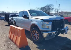 1FTEW1EG8FKD31924: 44344717