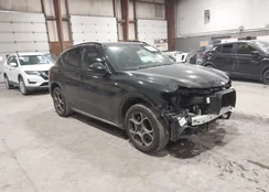 ZASPAKBNXP7D55024: 44346490