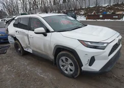 2T3K1RFV1RC290126: 44345927