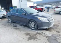 1G11C5SA7DF139598: 44347042