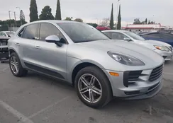 WP1AA2A51LLB13772: 44348310