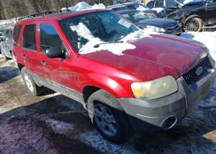 1FMYU93165DA14870: 44347659