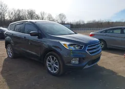 1FMCU9GD1HUC22190: 44349181