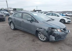 19XFB2F85DE213892: 44348907