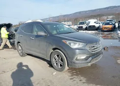 5NMZUDLB9HH025880: 44350190