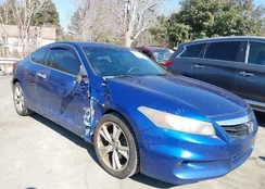 1HGCS2B89BA006013: 44350538