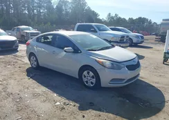 KNAFK4A69F5308596: 44351011