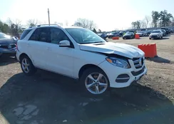 4JGDA5JB8HA939491: 44351195