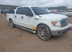 1FTFW1ET0EFB55007: 44351231