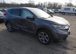 2HKRW2H59KH604010: 44351299