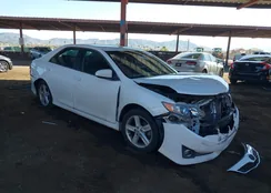 4T1BF1FK3EU423091: 44350687