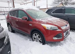 1FMCU9J98EUB37010: 44352189