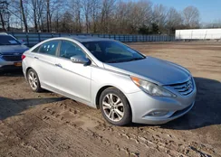 5NPEC4AC1BH010412: 44351676