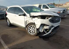 2FMPK4J99RBB19802: 44351800