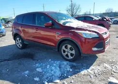 1FMCU9GX7FUA86784: 44352808