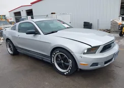 1ZVBP8AN8A5152090: 44354093