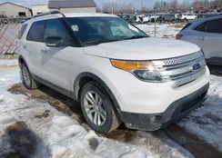 1FM5K8D87EGC34564: 44354129