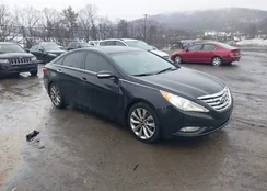 5NPEC4AB1BH223576: 44354187