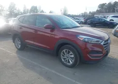 KM8J2CA4XJU805902: 44354243