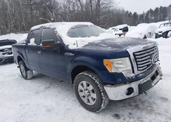 1FTFW1EF4BFC37229: 44354250