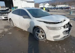 1G1ZB5ST1JF177248: 44354453