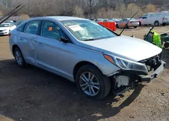 5NPE24AF0GH336657: 44354510