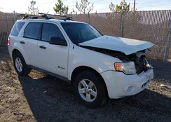 1FMCU49399KA89697: 44353669