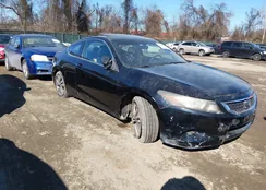 1HGCS12818A006204: 44355293