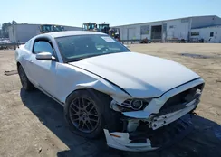 1ZVBP8AM1E5243473: 44355402