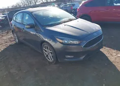 1FADP3K28FL299988: 44354731