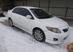 2T1BU4EE9AC334821: 44354880