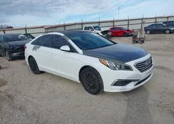 5NPE24AF2HH511802: 44356119