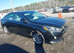 5NPE24AF5JH598245: 44356351