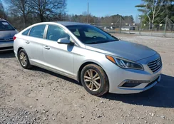 5NPE24AF4FH175907: 44356396