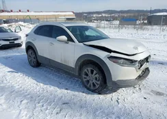 3MVDMBDM8SM769908: 44355816