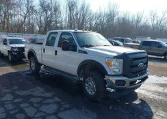 1FT7W2B69FEA88925: 44357004