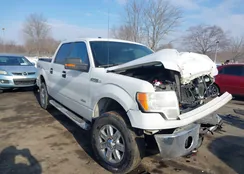 1FTFW1ETXDKE50718: 44357248