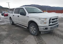 1FTEW1E82HFB12039: 44357442