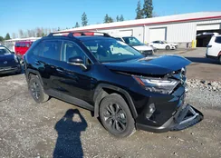 JTMD6RFV3SJ095500: 44356933